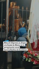 Peregrinos caminan a la Basílica de Guadalupe
