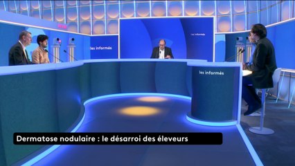 Les informés du 11 décembre