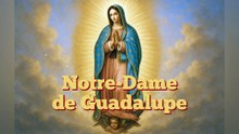 Notre-Dame de Guadalupe (12 décembre)