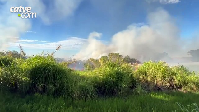 Incêndio atinge área de vegetação no bairro Claudete, em Cascavel