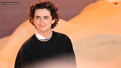 Timothée Chalamet Introduced Himself To Dave Bautista In A Hilarious Way