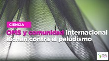 OMS y comunidad internacional luchan contra el paludismo