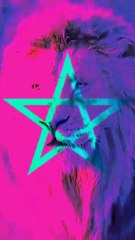 🚘 LUXE CAR CASABLANCA – Location de voitures à l’Aéroport Mohammed V ✈️