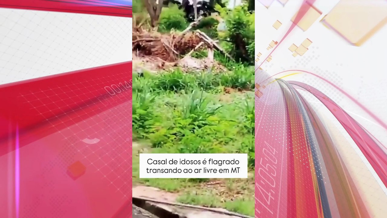 Casal de idosos é flagrado fazendo sexo ao ar livre à luz do dia; veja