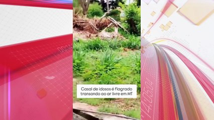 Casal de idosos é flagrado fazendo sexo ao ar livre à luz do dia; veja