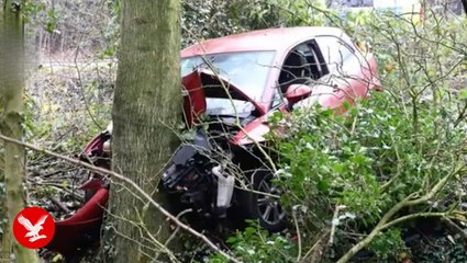 Suspected drink-driver flees after sending car airborne over a hedge and leaving injured passenger behind