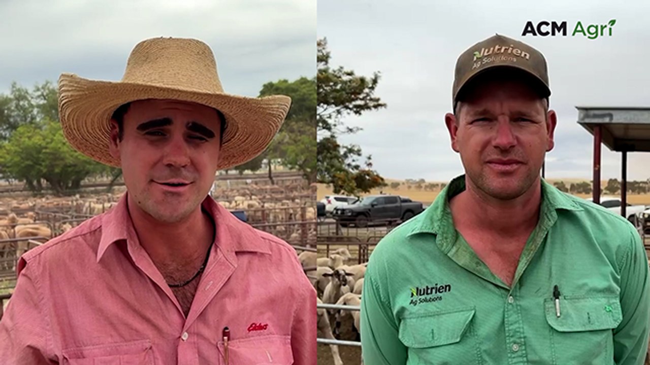 Final Jamestown sale of 2025