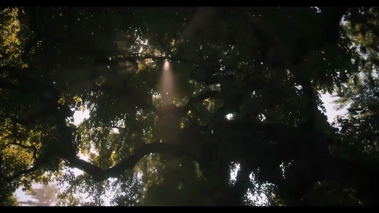 Dune: Part Two Trailer DF