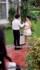 Shackled by You Soaring With Love Chinese Drama ENG SUB