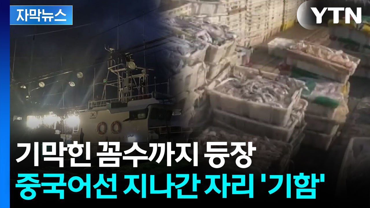 [자막뉴스] 하다하다 '비밀어창' 까지...한국 바다 씨 말리는 중국 / YTN