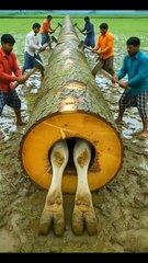 “Shocking Rescue Caught on Camera | Real Life-Saving Moment!”