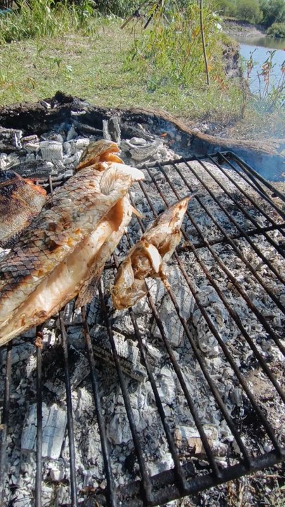 El paraíso existe y se encuentra aquí 🎣😍