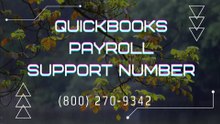 How to Speak QuickBooks Payroll Support 24/7 Online Help Number