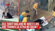 Oso, bakit biglang ni-wrestling ang trainer sa gitna ng show? | GMA Integrated Newsfeed