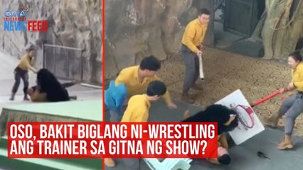 Oso, bakit biglang ni-wrestling ang trainer sa gitna ng show? | GMA Integrated Newsfeed