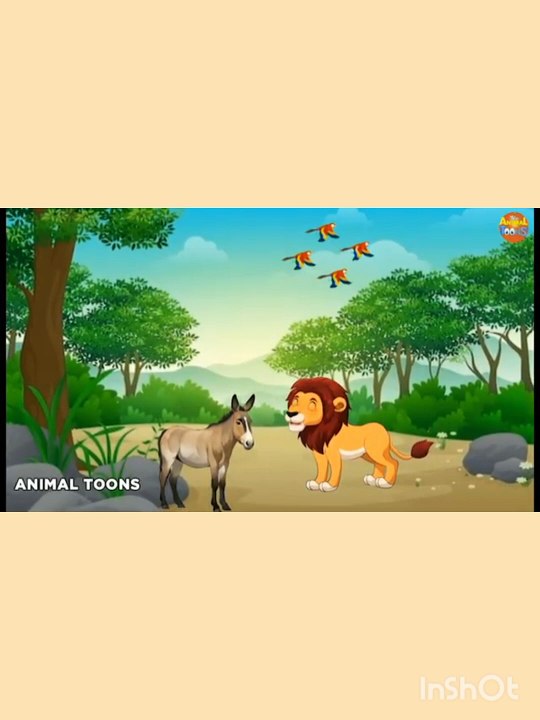 animals video