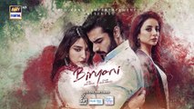 Biryani 2nd Last Episode 34