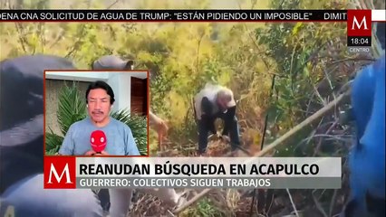 Millones de peregrinos ya se encuentran en la basílica | Milenio Noticias, 11 de diciembre de 2025