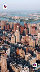 The Visiting Professor shortmintz