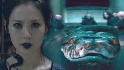 The Story of Nagini (+ How She Met Voldemort) - Harry Potter Explained