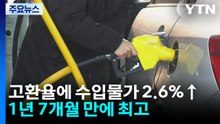 고환율에 수입물가 2.6%↑...1년 7개월 만에 최고 / YTN