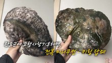 완도에 기부하고 받은 '전복 쿠션' 화제 [앵커리포트] / YTN