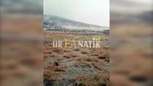 Şanlıurfa'da kar yağışı etkili oldu