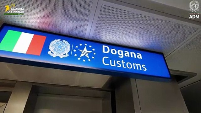 Contrabbando, sequestro della Finanza di oltre 20 mila carte Pokemon: il valore è di 90mila euro