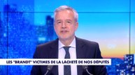 Le billet d'humeur de Romain Desarbres : «Les "Brandt" victimes de la lâcheté de nos députés»