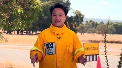 Two bushfires near Perth downgraded to Watch and Act warnings