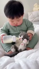 When Pets Outsmart Their Owners 😼 | Funny Animal Intelligence Fails