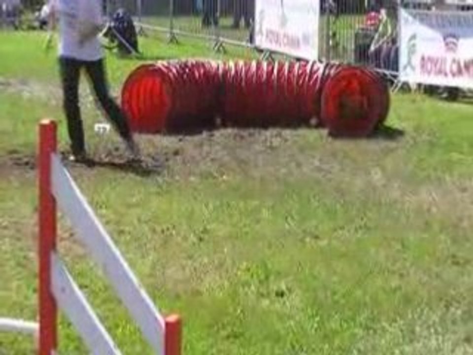 Polène-jumping FAR Sorinières