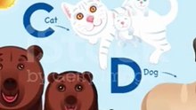 Alphabet animal