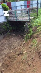 Mauvaises odeurs, eaux stagnantes, canal non entretenu… Les habitants de la Marine excédés