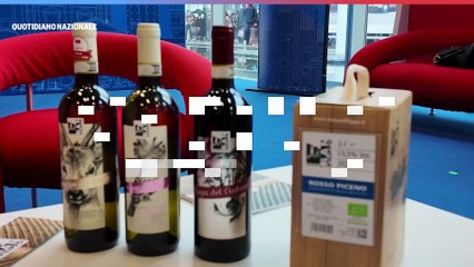 L'intervista ad Alessio Stracci - Società Agricola San Filippo