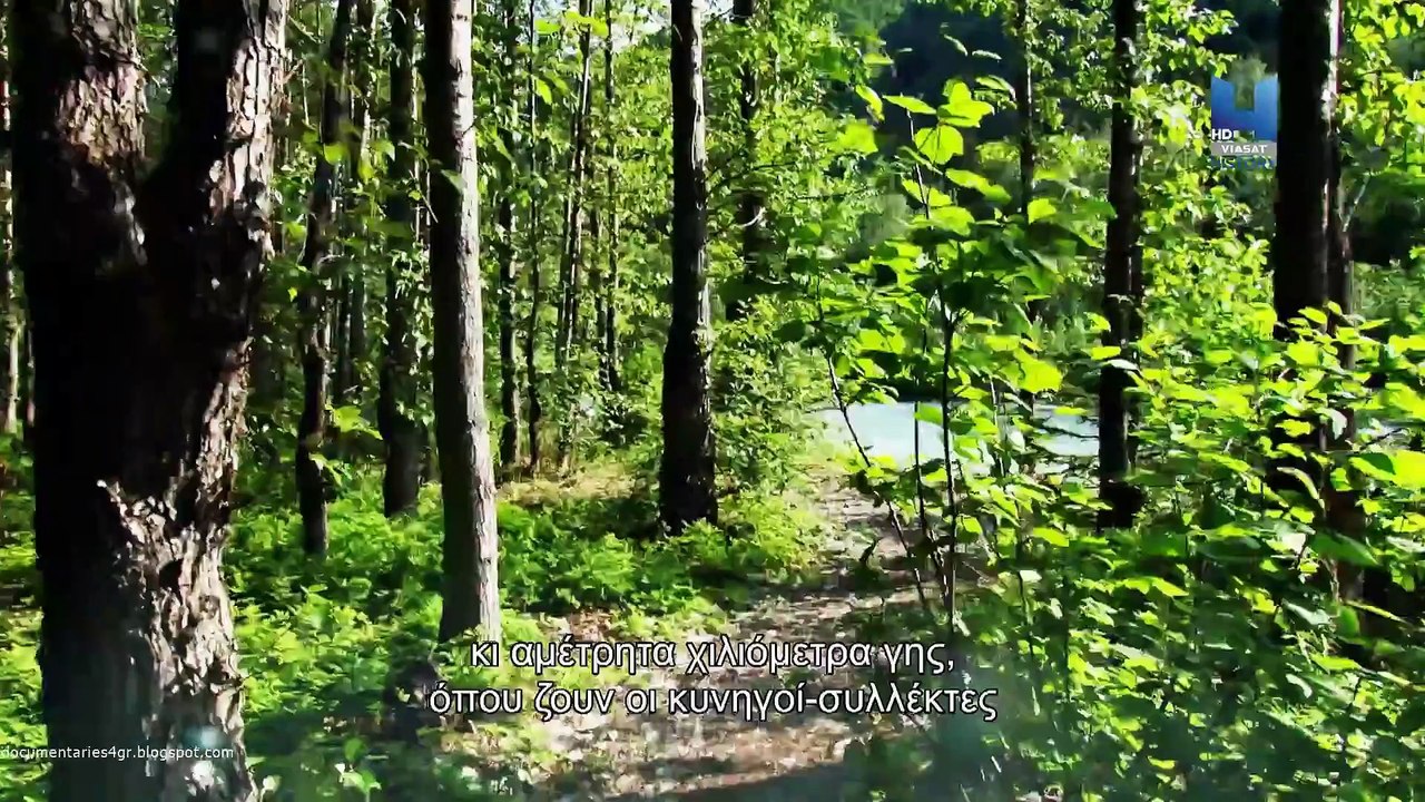 Τα Πιο Παράξενα Αντικείμενα - The Ice Age Shaman, the Bronze Age Sky and the Steampunk Lightbulb