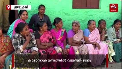 കാട്ടാന ആക്രമണം രൂക്ഷം, ഏലകൃഷിയടക്കം നശിപ്പിച്ചു; ഫോറസ്റ്റ് ഓഫിസ് ഉപരോധിച്ച് തൊഴിലാളികൾ