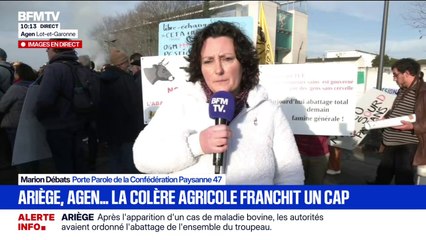 Dermatose bovine: "La colère elle est bien là, et elle va durer" assure Marion Débats, porte parole de la Confédération Paysanne 47