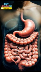 This Is What Happens To Your Stool When Your Gut Bacteria