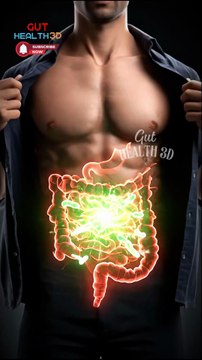 This Is What Happens To Your Belly Fat When Gut Bacteria Change