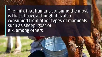 8 health benefits of milk