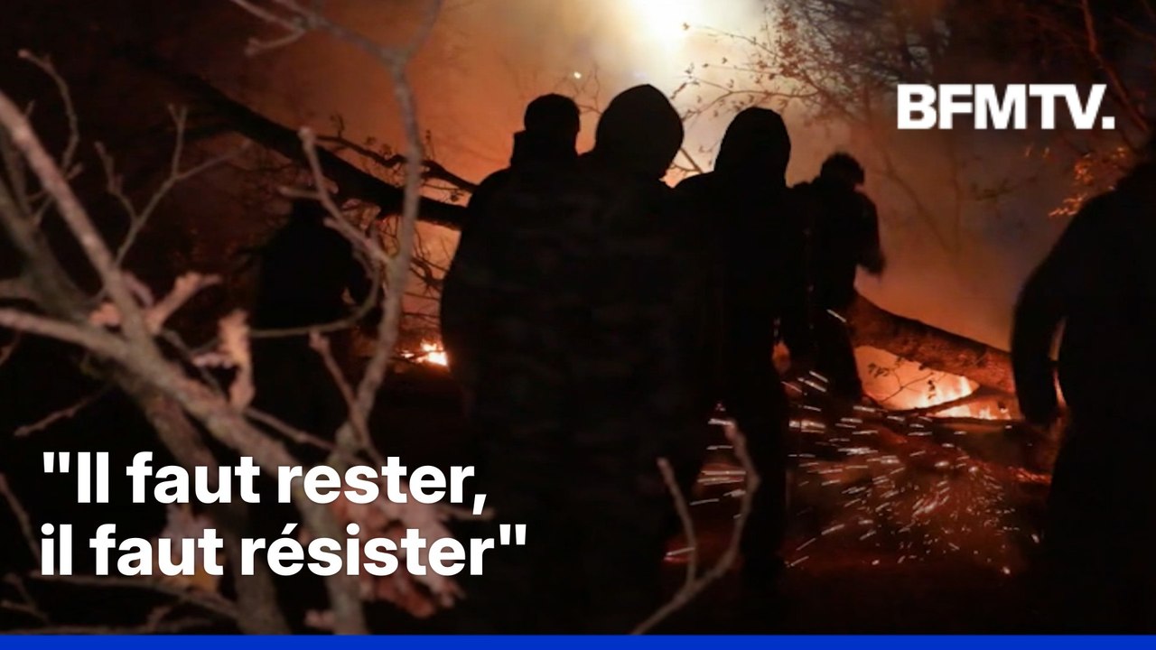 Dermatose nodulaire: heurts entre les gendarmes et les agriculteurs qui s'opposent à un abattage de bovins en Ariège