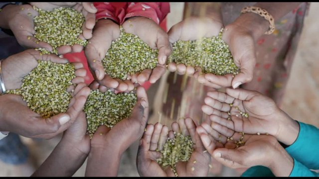 Alimentazione, non solo dieta sana ma anche nutrizione adeguata