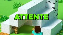 Attente VS Réalité sur Minecraft