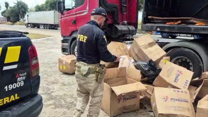 Traficante é Preso na BR-101 Transportando Grande Quantidade de Maconha: Investigações para Identificar Fornecedor Continuam