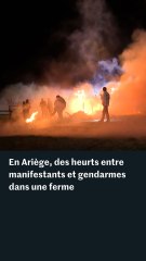 Dermatose nodulaire : des affrontements entre manifestants et gendarmes dans une ferme de l’Ariège