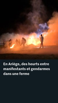 Dermatose nodulaire : des affrontements entre manifestants et gendarmes dans une ferme de l’Ariège