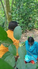 #TIMELAPSE START to FINISH Alone BUILD LOG Cabin Wooden House #shorts #trendingshorts #youtubeshorts