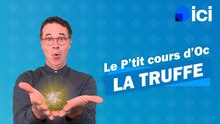 Le p'tit cours d'Oc - la truffe