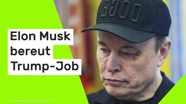 Elon Musk: Hätte an meinen Unternehmen gearbeitet! Tech-Milliardär bereut Trump-Job